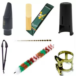 Accesorii instrumente suflat